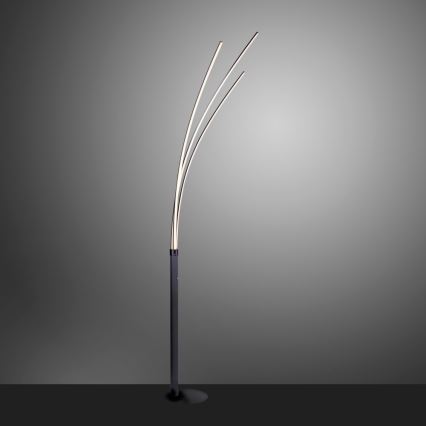 Leuchten Direkt 15383-55 - LED Golvlampa MAJA LED/13W/230V svart