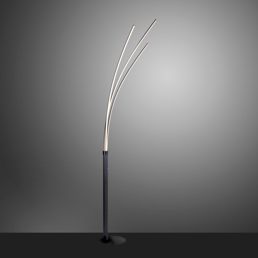 Leuchten Direkt 15383-55 - LED Golvlampa MAJA LED/13W/230V svart