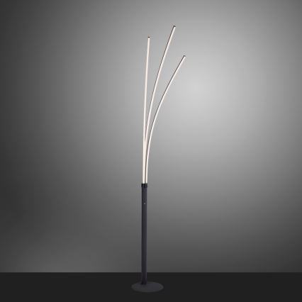 Leuchten Direkt 15383-55 - LED Golvlampa MAJA LED/13W/230V svart