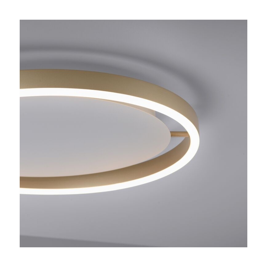 Leuchten Direkt 15391-60 - LED ljusreglerad taklampa RITUS LED/20W/230V mässing