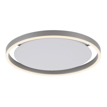 Leuchten Direkt 15391-95 - LED dimbar taklampa RITUS LED/20W/230V matt krom