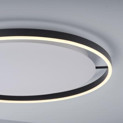 Leuchten Direkt 15392-13 - LED dimbar takarmatur RITUS LED/28W/230V svart