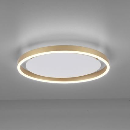 Leuchten Direkt 15392-60 - LED ljusreglerad taklampa RITUS LED/30W/230V mässing