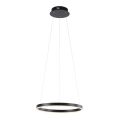 Leuchten Direkt 15393-13 - Dimmbar LED-pendel på vajer RITUS LED/23,5W/230V svart