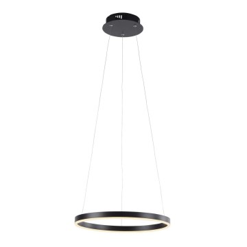 Leuchten Direkt 15393-13 - Dimmbar LED-pendel på vajer RITUS LED/23,5W/230V svart
