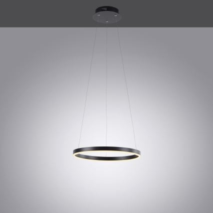 Leuchten Direkt 15393-13 - LED dimbar taklampa RITUS LED/20W/230V svart
