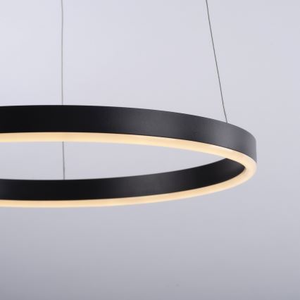 Leuchten Direkt 15393-13 - LED dimbar taklampa RITUS LED/20W/230V svart