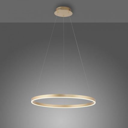 Leuchten Direkt 15394-60 - LED dimbar taklampa RITUS LED/30W/230V mässing