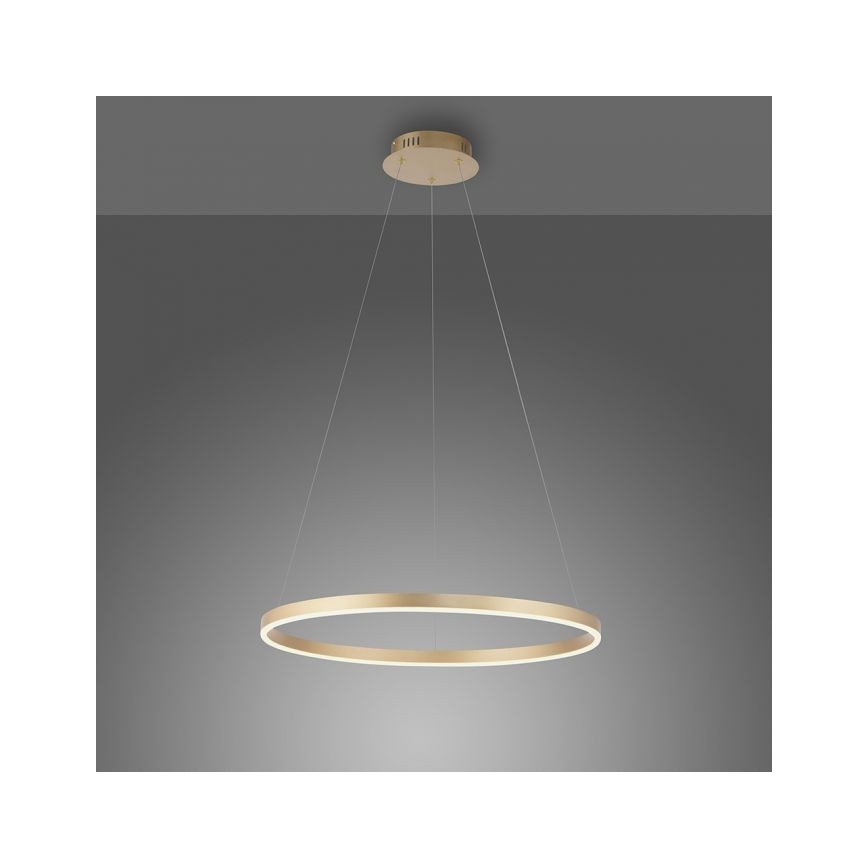 Leuchten Direkt 15394-60 - LED dimbar taklampa RITUS LED/30W/230V mässing