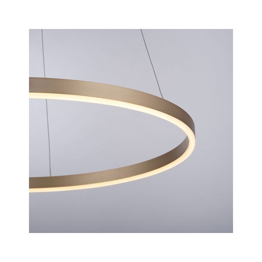 Leuchten Direkt 15394-60 - LED dimbar taklampa RITUS LED/30W/230V mässing