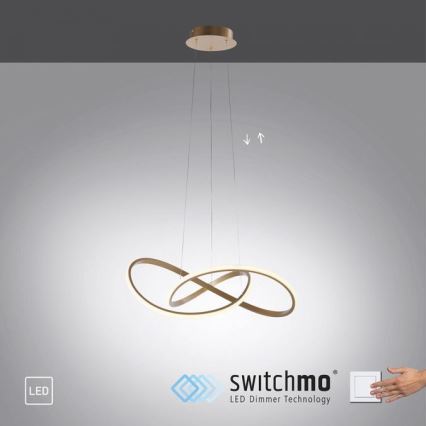 Leuchten Direkt 15402-60 - LED ljusreglerad ljuskrona på snöre MARIA LED/25W/230V