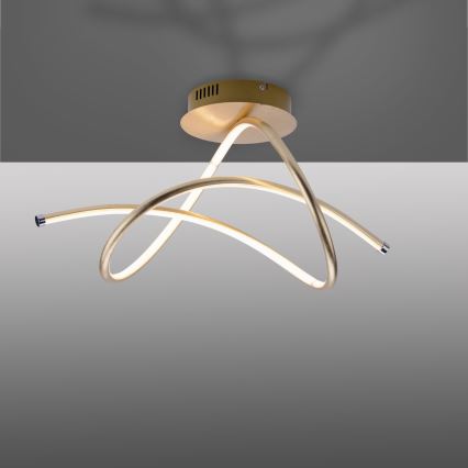 Leuchten Direkt 15441-12 - LED fäst ljuskrona VIOLETTA LED/26W/230V