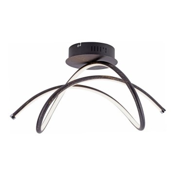 Leuchten Direkt 15441-48 - LED fäst ljuskrona VIOLETTA LED/26W/230V