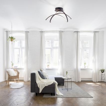 Leuchten Direkt 15441-48 - LED fäst ljuskrona VIOLETTA LED/26W/230V