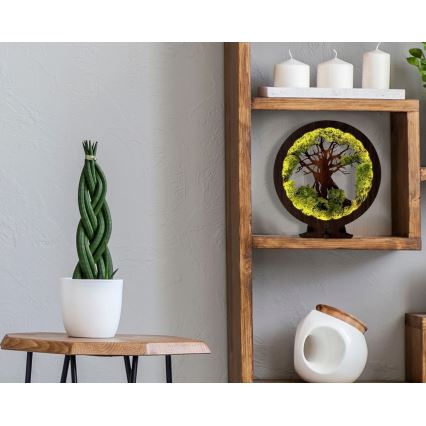 Li-Go 23604/DUB2 - LED-dimmbar bordsdekoration LED/12W/230V 20x22 cm ek/mossa och träd