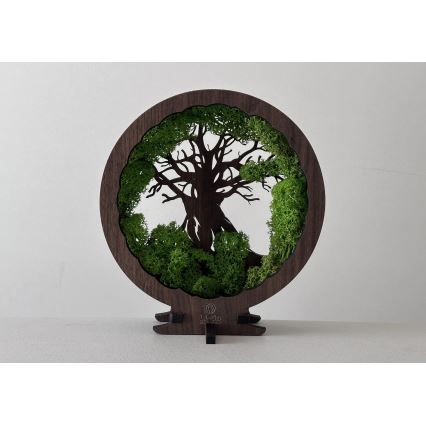 Li-Go 23604/DUB2 - LED-dimmbar bordsdekoration LED/12W/230V 20x22 cm ek/mossa och träd
