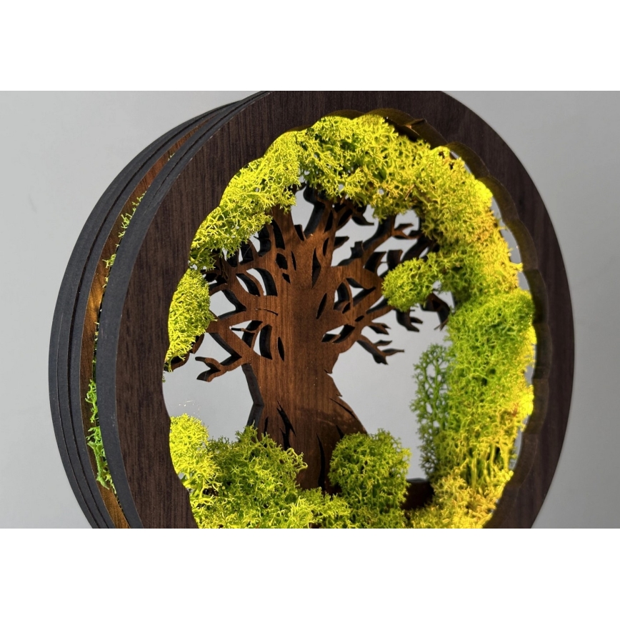 Li-Go 23604/DUB2 - LED-dimmbar bordsdekoration LED/12W/230V 20x22 cm ek/mossa och träd