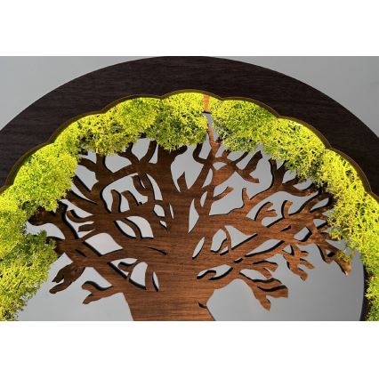 Li-Go 23631/DUB2 - Dimmbar LED-bordsdekoration LED/12W/230V 30x31 cm ek/mossa och träd