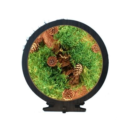 Li-Go 23654 - LED-dimbara bordsdekoration LED/12W/230V 20x22 cm valnöt/mossmotiv