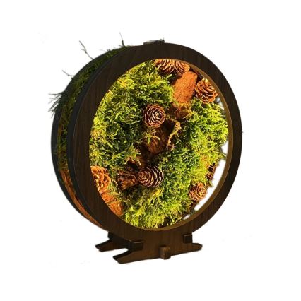 Li-Go 23654 - LED-dimbara bordsdekoration LED/12W/230V 20x22 cm valnöt/mossmotiv