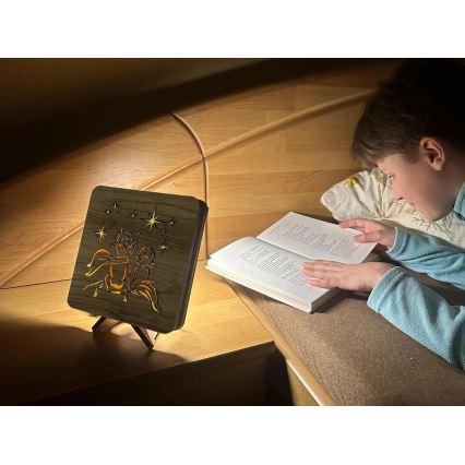 Li-Go 5788/DUB2 - LED borddekoration LED/12W/230V 19x19 cm ek/Lilla Prinsen