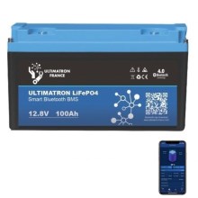 LiFePO4 batteri 12,8V/100Ah