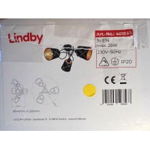 Lindby - Fäst ljuskrona SINDRI 3xE14/25W/230V
