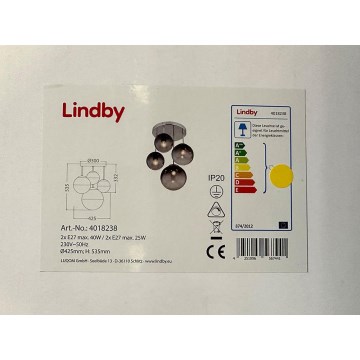 Lindby - Taklampa ROBYN 2xE27/40W/230V + 2xE27/25W/230V