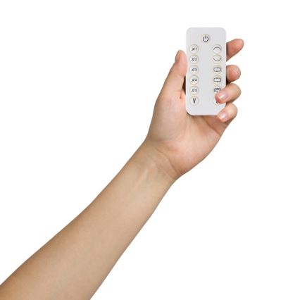 Lionelo - Babygunga med melodier OLIVIA Beige Natural + fjärrkontroll