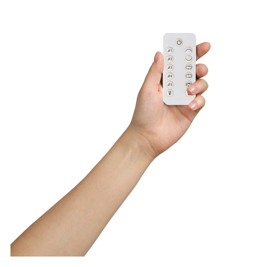 Lionelo - Babygunga med melodier OLIVIA Beige Natural + fjärrkontroll