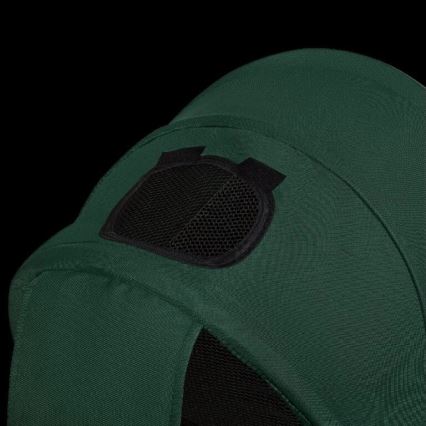 Lionelo - Barntricycle HAARI grön/svart