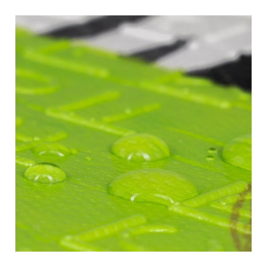 Lionelo - Lekmatta för barn ROBBY