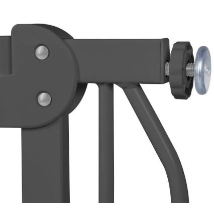 Lionelo - Säkerhetsbarriär TRUUS SLIM svart/beige