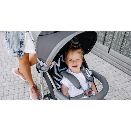 Lionelo - Sittvagn ELIA grå