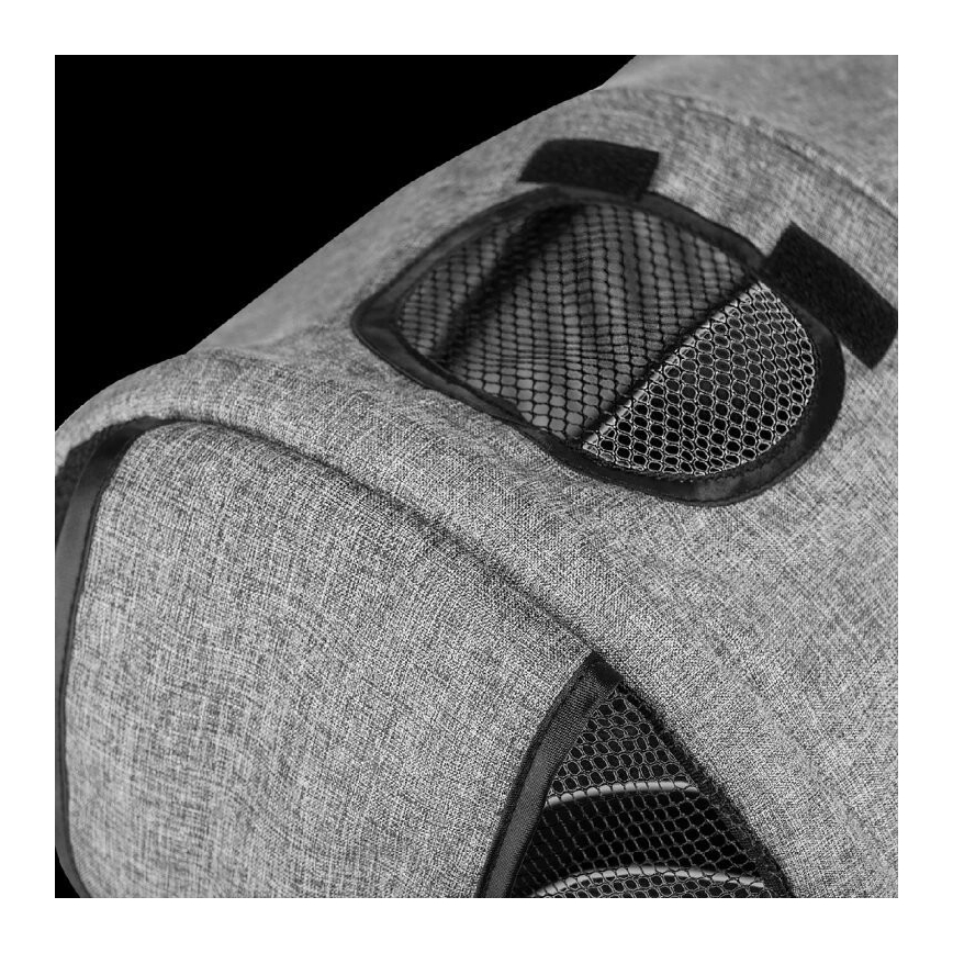 Lionelo - Trehjuling för barn TRIS, grå