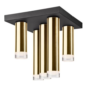 Ljuskrona DIEGO 5xE27/60W/230V