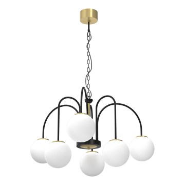 Ljuskrona på kedja CAMBRIDGE 6xE14/60W/230V svart/mässing