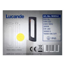 Lucande - LED-lampa för utomhusbruk FENTI LED/12W/230V IP65