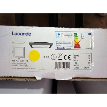 Lucande - LED taklampa för utomhusbruk BIRTA LED/28W/230V IP54