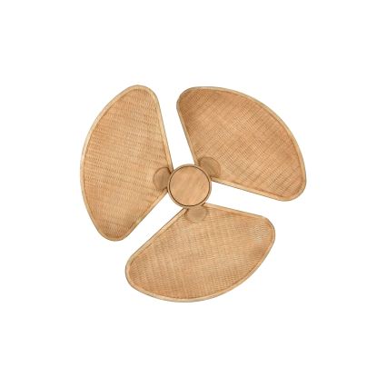 Lucci Air 21325549 - LED-dimmbar takfläkt SABLE 1xGX53/12W/230V 3000/4000/5000K Ø 91,5 cm brun + fjärrkontroll