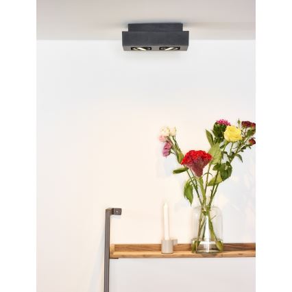 Lucide 09119/11/30 - LED Dimbart spotlight XIRAX 2xGU10/5W/230V