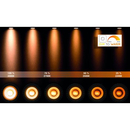 Lucide 09930/10/31 - LED Ljusreglerad badrum spotlight TAYLOR 2xGU10/5W/230V IP44