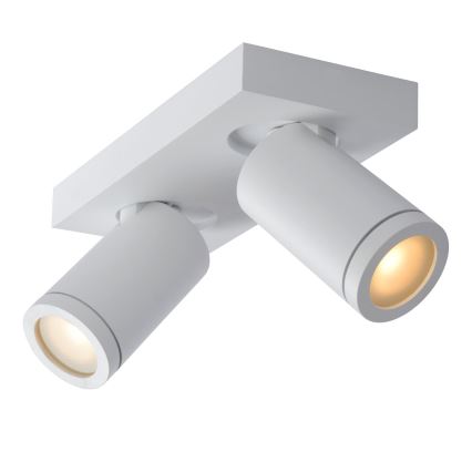 Lucide 09930/10/31 - LED Ljusreglerad badrum spotlight TAYLOR 2xGU10/5W/230V IP44