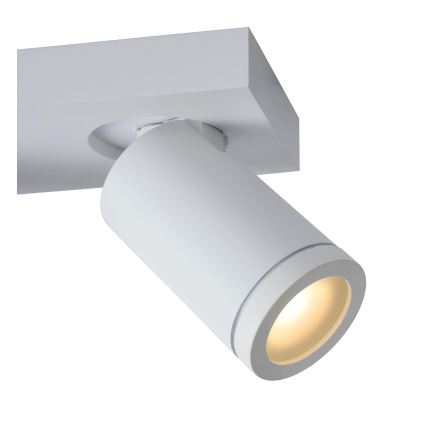 Lucide 09930/10/31 - LED Ljusreglerad badrum spotlight TAYLOR 2xGU10/5W/230V IP44