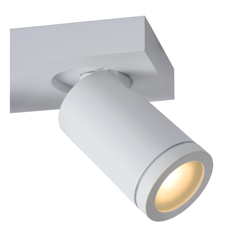 Lucide 09930/10/31 - LED Ljusreglerad badrum spotlight TAYLOR 2xGU10/5W/230V IP44