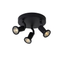 Lucide 11903/15/30 - LED spotlight JASTER-LED 3xGU10/5W/230V svart
