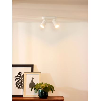 Lucide 23954/11/31 - LED Dimbart spotlight XYRUS 2xGU10/5W/230V