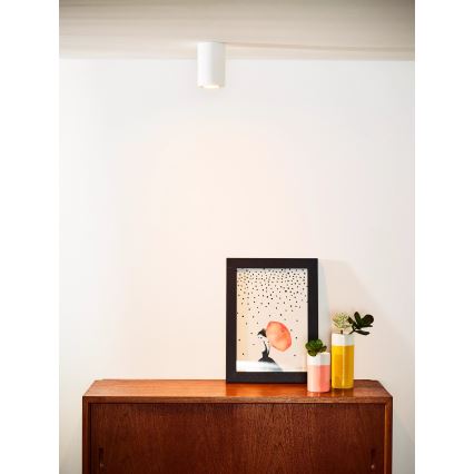 Lucide 35100/11/31 - Takbelysning GIPSY 1xGU10/35W/230V