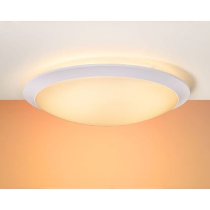 Lucide 79174/18/31 - LED Takbelysning BONNY LED/18W/230V vit