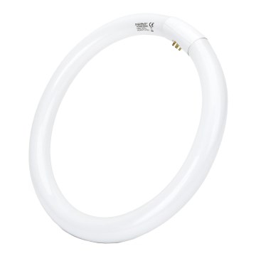 Lysrör T9 G10q/32W/230V 6500K - Aigostar